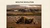 Neolithic revolution