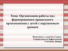Организация работы над формированием правильного произношения у детей с нарушенным зрением