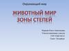 Животный мир зоны степей