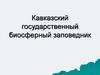 Кавказский государственный биосферный заповедник