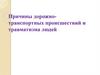 Причины дорожно-транспортных происшествий и травматизма людей