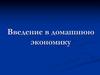 Введение в домашнюю экономику