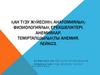 Қан түзу жүйесінің анатомиялықфизиологиялық ерекшеліктері. Анемиялар. Теміртапшылықты анемия. Лейкоз