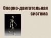 Опорно- двигательная система