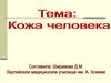 Кожа человека