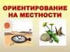 Ориентирование на местности