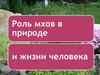 Роль мхов в природе и жизни человека