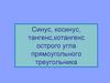 Синус, косинус, тангенс, котангенс острого угла прямоугольного треугольника