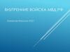 Внутренние войска МВД РФ