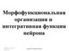 Морфофункциональная организация и интегративная функция нейрона