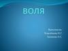 Воля. Характеристики волевых действий