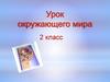 Путешествие капельки. Урок  окружающего мира. 2 класс