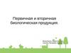 Первичная и вторичная биологическая продукция