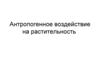 Антропогенное воздействие на растительность