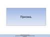 Призма. Элементы призмы