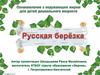 Русская берёзка