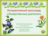 Лекарственные растения. Интерактивный кроссворд