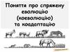 Поняття про спряжену еволюцію (коеволюцію) та коадаптацію. Урок 13