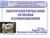 Цитогенетические основы размножения