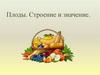 Плоды. Строение и значение