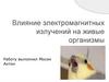 Влияние электромагнитных излучений на живые организмы