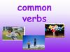 Common verbs