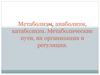 Метаболизм, анаболизм, катаболизм. Метаболические пути, их организация и регуляция