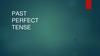 Past perfect tense