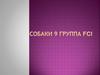 Группа 9 FCI (собаки-компаньоны и тои)