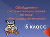 Имя существительное. Обобщение и систематизация знаний