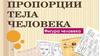 Пропорции тела человека. Фигура человека