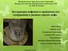 Экстракция кофеина и сравнение его содержания в разных сортах кофе