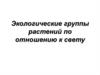 Экологические группы растений по отношению к свету