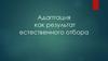 Адаптация как результат естественного отбора