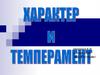 Характер и темперамент