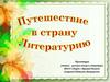 Путешествие в страну Литературию. Не наяву и не во сне