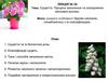 Суцвіття. Процеси запилення та запліднення квіткових рослин