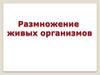 Размножение живых организмов