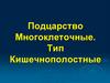 Подцарство Многоклеточные. Тип Кишечнополостные