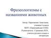Фразеологизмы с названиями животных