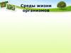 Среды жизни организмов. Наземно-воздушная среда