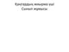 «Қазақстан -2050» стратегиясы