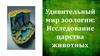 Удивительный мир зоологии: исследование царства животных