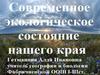Современное экологическое состояние родного края