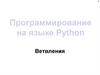 Программирование на языке Python. Условный оператор