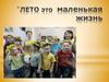 Лето - это маленькая жизнь