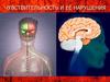 Чувствительность и её нарушения