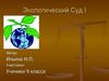 Экологический суд