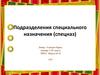 Подразделения специального назначения (спецназ)
