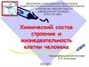 Химический состав строение и жизнедеятельность клетки человека